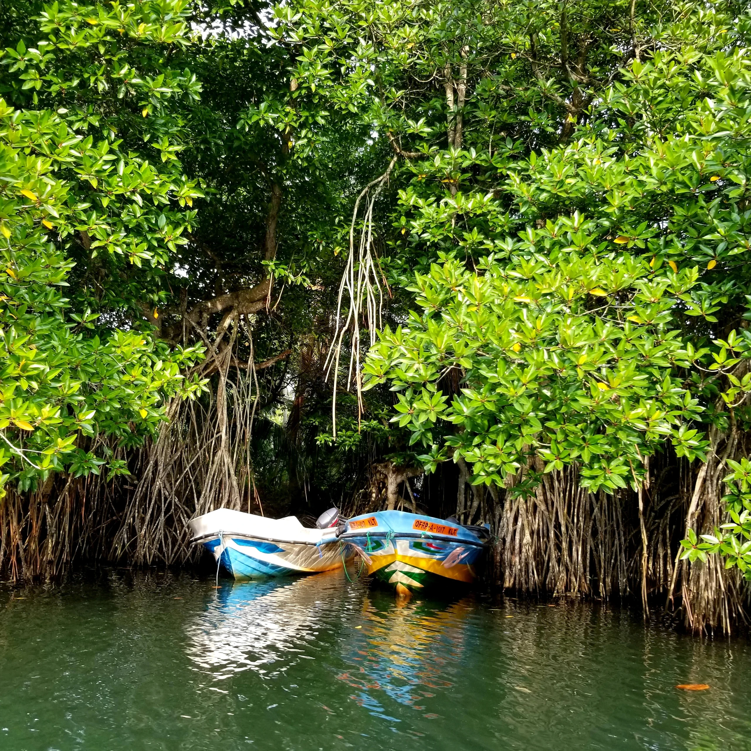 Madu River Wetlands