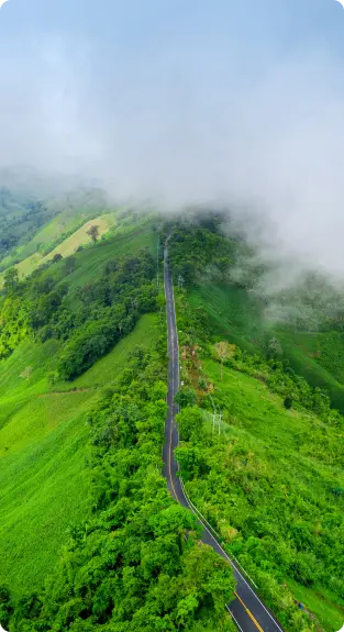 Aerial view of winding road through misty green mountains in Sri Lanka hill country